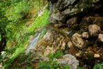 2014-07-05_Laengental-N-Hochweg (457). JPG